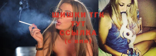 дмт Надым