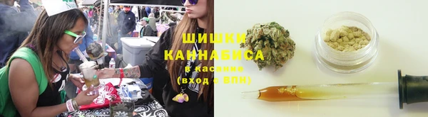дмт Надым