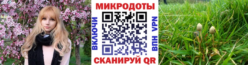 Псилоцибиновые грибы Psilocybine cubensis  где продают   Пушкино 