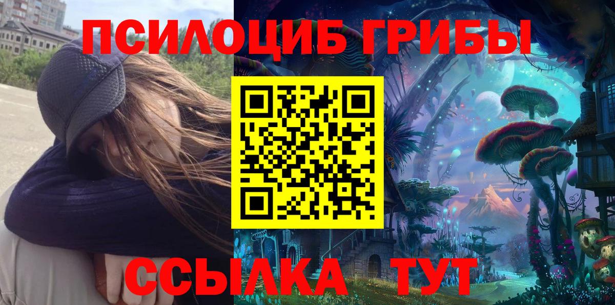 Псилоцибиновые грибы Cubensis  Галлюциногенные грибы мухоморы  Пушкино  наркота  Вход с VPN 